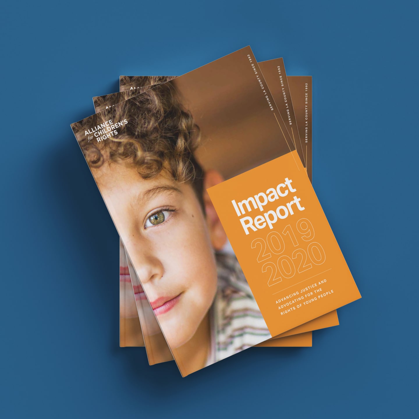 Brave Factor Alliance for Children's Rights Annual Report