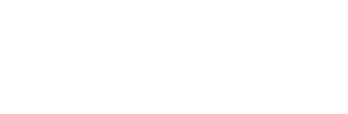 Brave Factor Alliance for Childrens Rights Logo