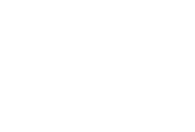 Brave Factor logo white