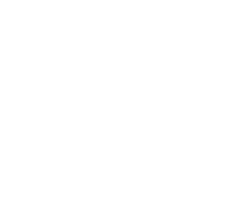 Brave Factor Jaguar Creek Logo