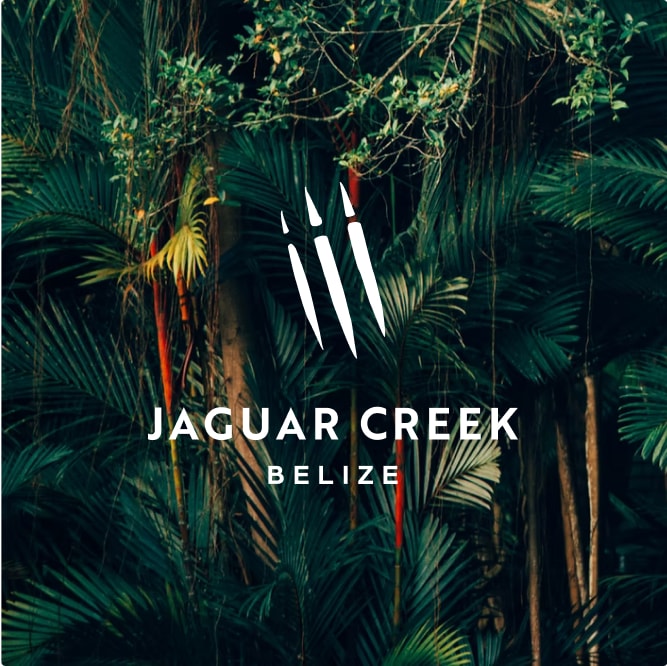 Jaguar Creek Climate & Environment Nonprofits