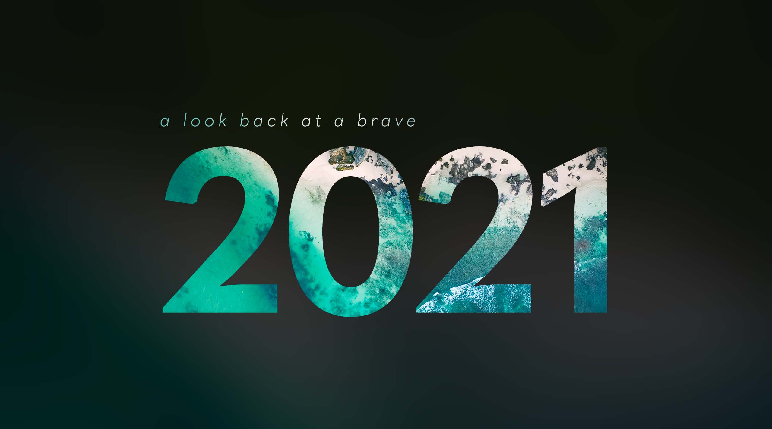 Brave look back nonprofit web design 2021
