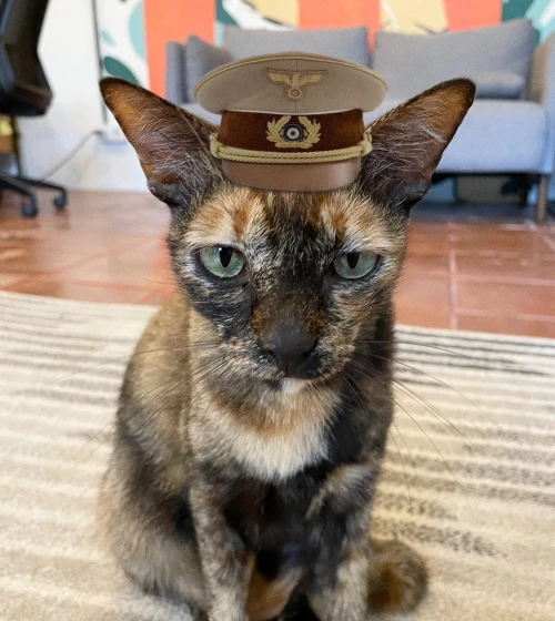 olive portrait