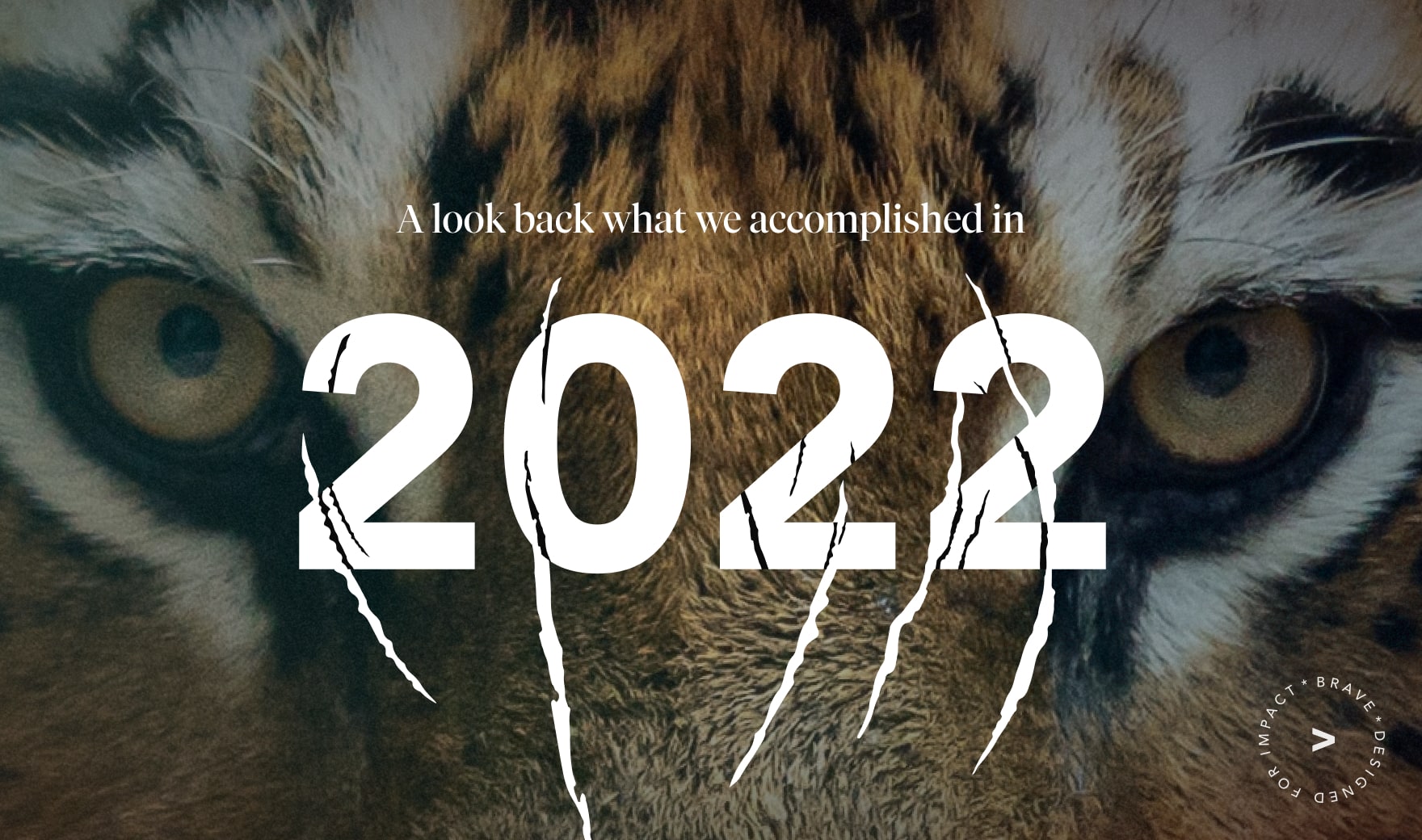 brave projects on 2022